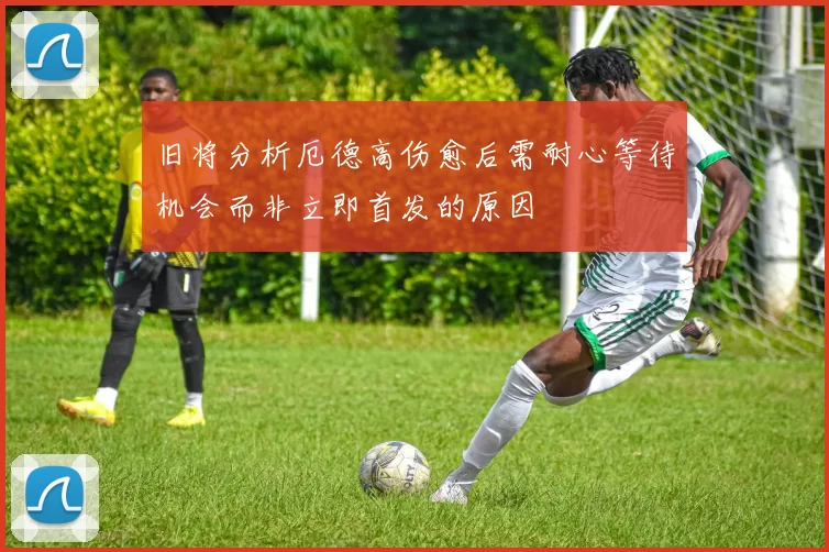 旧将分析厄德高伤愈后需耐心等待机会而非立即首发的原因